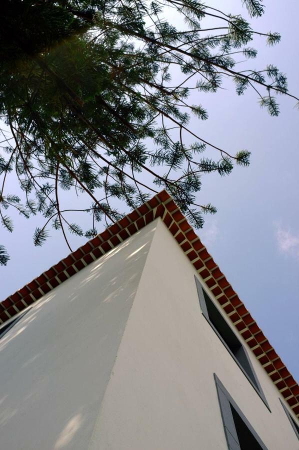 Casa Oliveira Esmeraldo - Guest Houses São Vicente Exterior foto